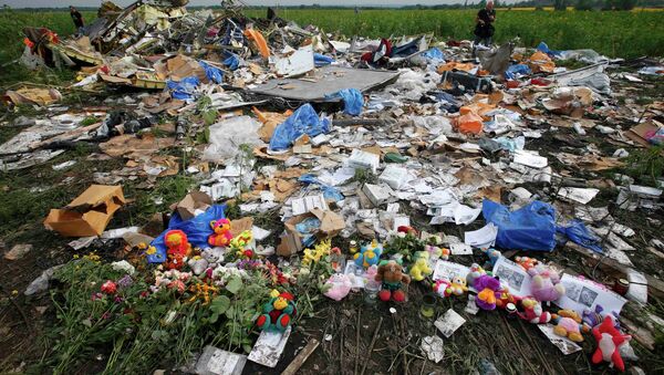 Lugar del siniestro del Boeing MH17 - Sputnik Mundo