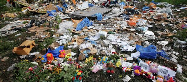 Lugar del siniestro del Boeing MH17 - Sputnik Mundo