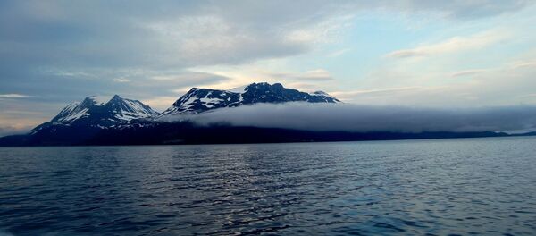 Océano Glacial Ártico - Sputnik Mundo