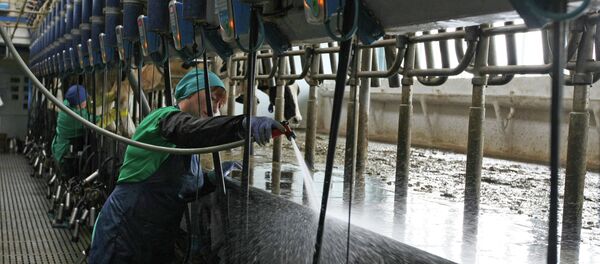 Fabricación de leche - Sputnik Mundo