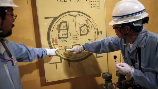 Japón busca nuevas fuentes de combustible tras accidente en Fukushima - Sputnik Mundo