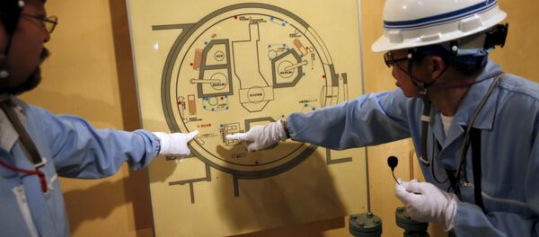 Japón busca nuevas fuentes de combustible tras accidente en Fukushima - Sputnik Mundo