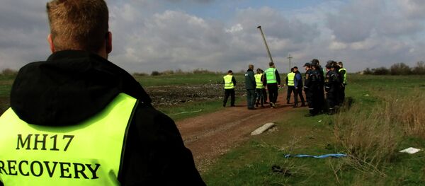 Lugar del siniestro del Boeing MH17 - Sputnik Mundo