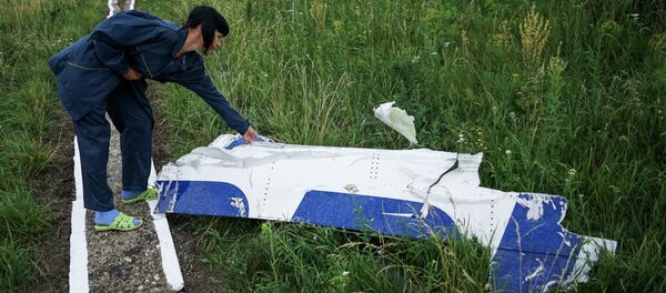 Lugar del siniestro del Boeing MH17 Lugar del siniestro del Boeing MH17 - Sputnik Mundo