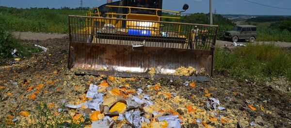 Destrucción de alimentos vetados en la provincia rusa de Bélgorod - Sputnik Mundo