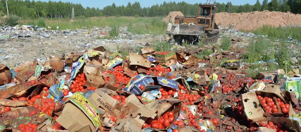 Rusia destruye en un día 290 toneladas de alimentos sancionados - Sputnik Mundo