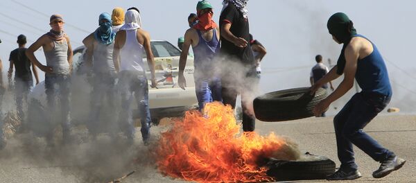 Disturbios en Duma - Sputnik Mundo