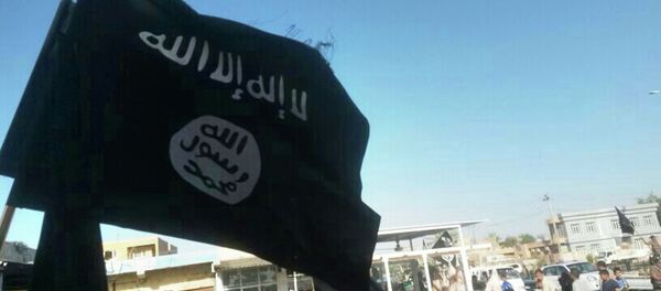 Militantes del grupo yihadista Estado Islámico en Irak (archivo) - Sputnik Mundo