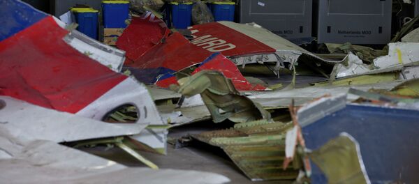 Escombros de Malaysia Airlines Flight 17 en Holanda - Sputnik Mundo