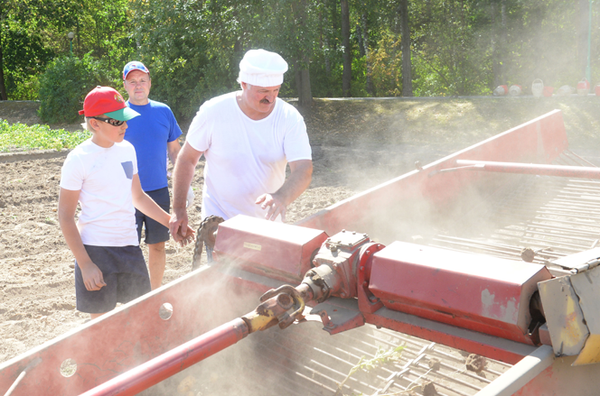 Alexandr Lukashenko cosechó papas con su hijo - Sputnik Mundo