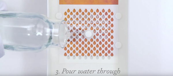 The Drinkable Book - Sputnik Mundo