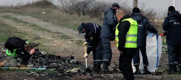 Lugar del siniestro del Boeing MH17 - Sputnik Mundo
