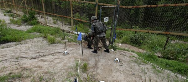 Zona desmilitarizada en la frontera entre Corea del Sur y Corea del Norte (archivo) - Sputnik Mundo