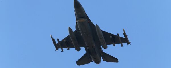 Caza turco - Sputnik Mundo