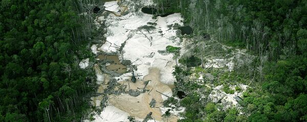 Mina de oro ilegal en la reserva natural Puinawai, Departamento de Guainía, Colombia - Sputnik Mundo