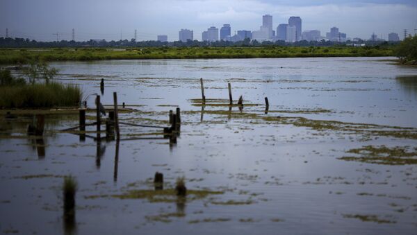 Alrededores de Nueva Orleans - Sputnik Mundo