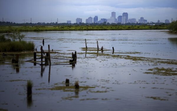 Alrededores de Nueva Orleans - Sputnik Mundo