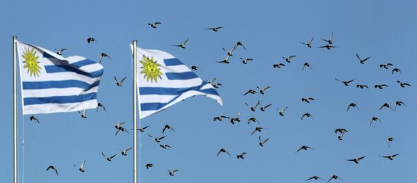 Banderas de Uruguay Banderas de Uruguay - Sputnik Mundo