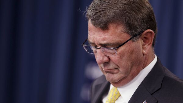 Ashton Carter, secretario de Defensa de EEUU - Sputnik Mundo