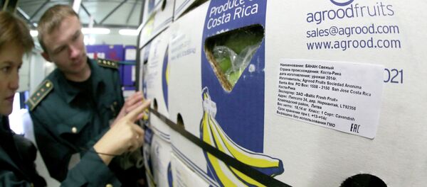Inspección de los alimentos importados en la región de Kaliningrad - Sputnik Mundo