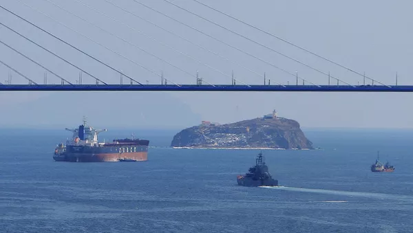 Se limita tráfico naval cerca de isla Russki durante Foro Económico Oriental - Sputnik Mundo