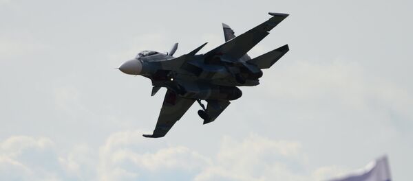 Caza Su-30 (archivo) Caza Su-30 (archivo) - Sputnik Mundo