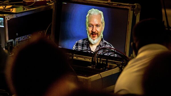 Julian Assange, fundador de WikiLeaks, durante una videoconferencia - Sputnik Mundo