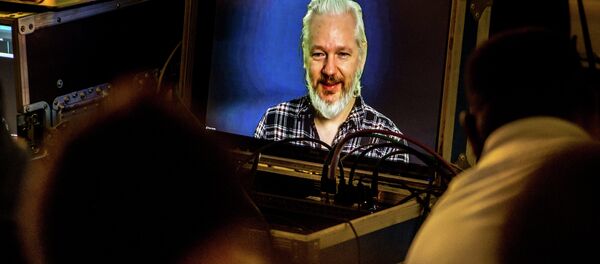 Julian Assange, fundador de WikiLeaks, durante una  videoconferencia - Sputnik Mundo