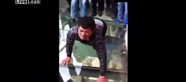 Un paseo de miedo a cuatro patas - Sputnik Mundo