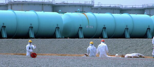Aguas del subsuelo en Fukushima - Sputnik Mundo