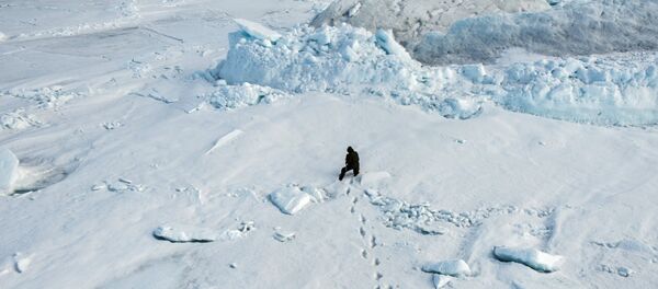 El Ártico - Sputnik Mundo