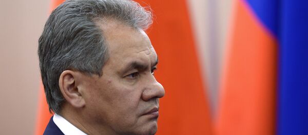 Serguéi Shoigú, ministro ruso de Defensa - Sputnik Mundo