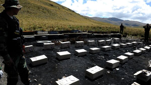 Miembro de la Fuerza Especial de Lucha Contra Narcotráfico (FELCN) esta de guardia al lado de cocaína confiscada en Bolivia (archivo) - Sputnik Mundo