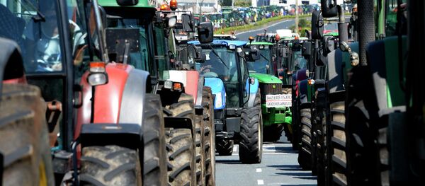 Protesta en Santiago de Compostela, Galicia, España, el 7 de septiembre, 2015 Protesta en Santiago de Compostela, Galicia, España, el 7 de septiembre, 2015 - Sputnik Mundo