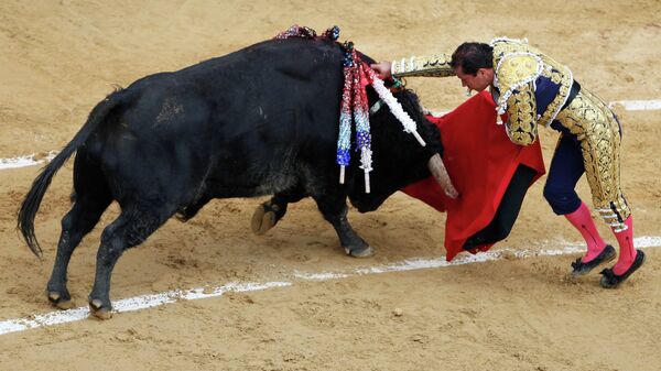 Corrida de toros en Bogotá (archivo) - Sputnik Mundo