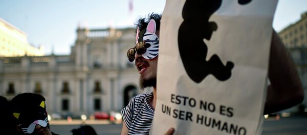 Manifestación a favor de la aborto delante del Palacio de La Moneda - Sputnik Mundo