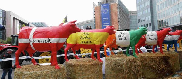 Protesta de granjeros europeos en Bruselas, Bélgica, el 7 de septiembre, 2015 - Sputnik Mundo