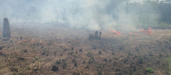La Guajira, Costa Caribe La Guajira, Costa Caribe - Sputnik Mundo