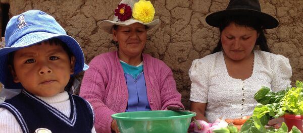 Redistribución de la riqueza es el mayor logro social de Bolivia - Sputnik Mundo