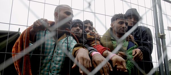 Migrantes en el campo para los refugiados en la frontera húngaro-serbia - Sputnik Mundo