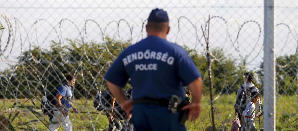 Frontera entre Serbia y Hungría - Sputnik Mundo