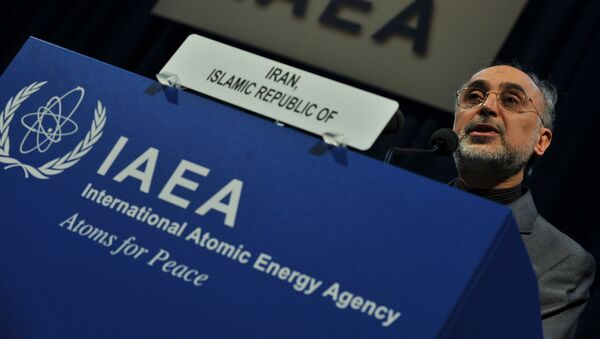 Alí Akbar Salehi, presidente de la Organización de la Energía Atómica de Irán (Archivo) - Sputnik Mundo