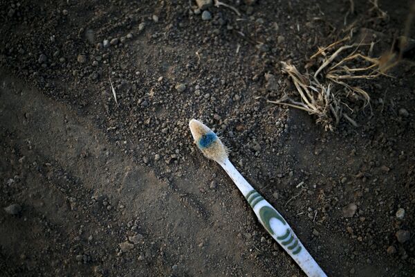 Catástrofe ecológica. Lo que los inmigrantes dejan a su paso - Sputnik Mundo