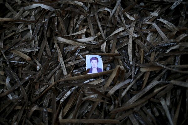 Catástrofe ecológica. Lo que los inmigrantes dejan a su paso - Sputnik Mundo