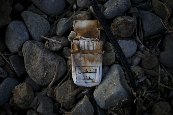 Catástrofe ecológica. Lo que los inmigrantes dejan a su paso - Sputnik Mundo