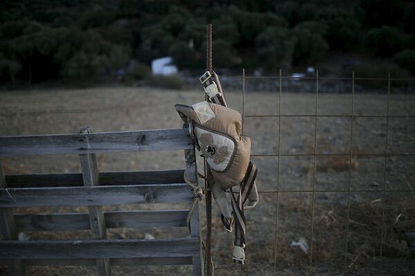 Catástrofe ecológica. Lo que los inmigrantes dejan a su paso - Sputnik Mundo