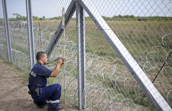 Los migrantes asaltan la frontera entre Serbia y Hungría - Sputnik Mundo