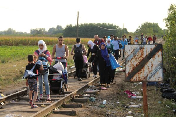 Los migrantes asaltan la frontera entre Serbia y Hungría - Sputnik Mundo