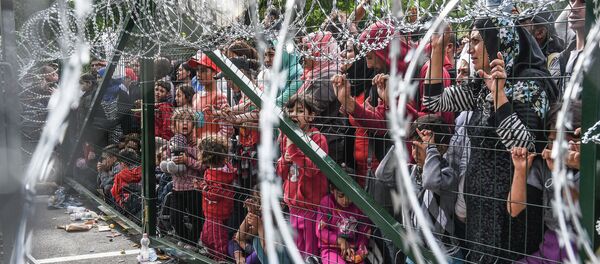 Refugiados detrás de una valla en la frontera entre Serbia y Hungría - Sputnik Mundo