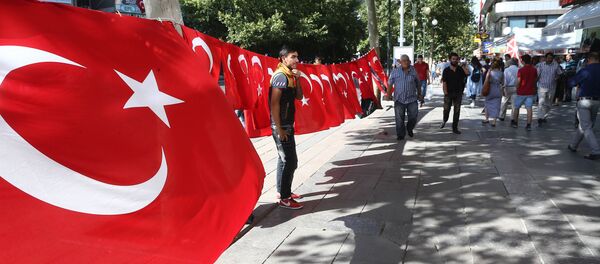 Un hombre está cerca de la bandera de Turquía durante las demostraciones por la lucha contra el terrorismo, Ankara - Sputnik Mundo